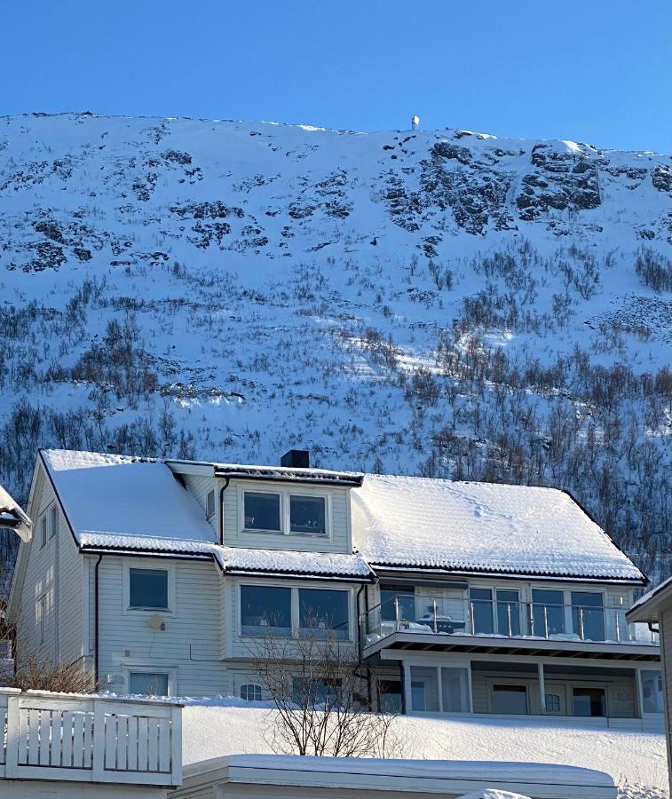 Polar Arctic View - Free Parking! Lägenhet Tromsø Exteriör bild