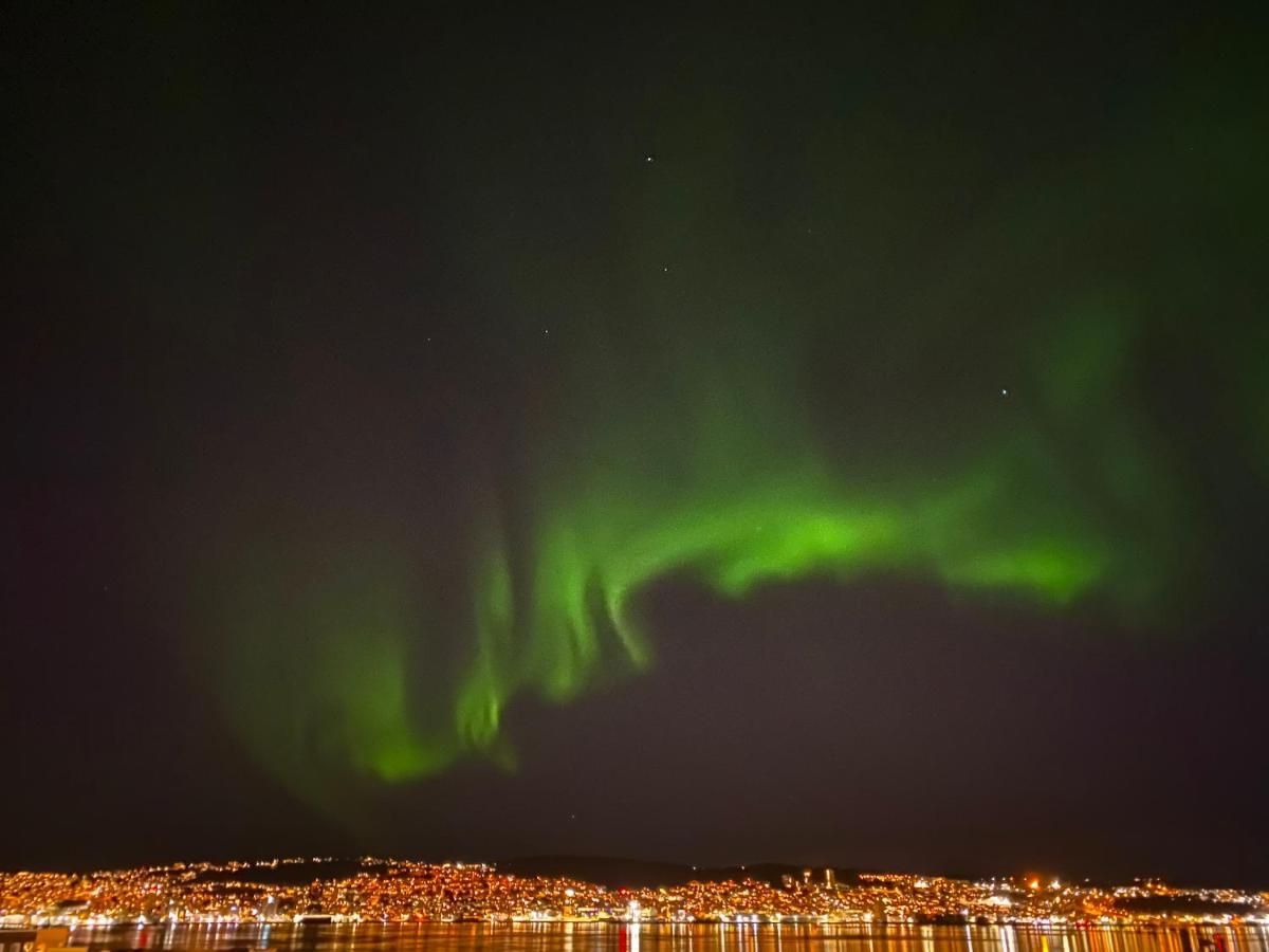 Polar Arctic View - Free Parking! Lägenhet Tromsø Exteriör bild