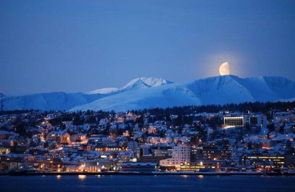 Polar Arctic View - Free Parking! Lägenhet Tromsø Exteriör bild